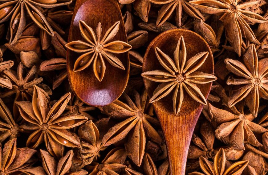 Exploring the Uses and Benefits of Star Anise: A Guide to Its Substitutes 