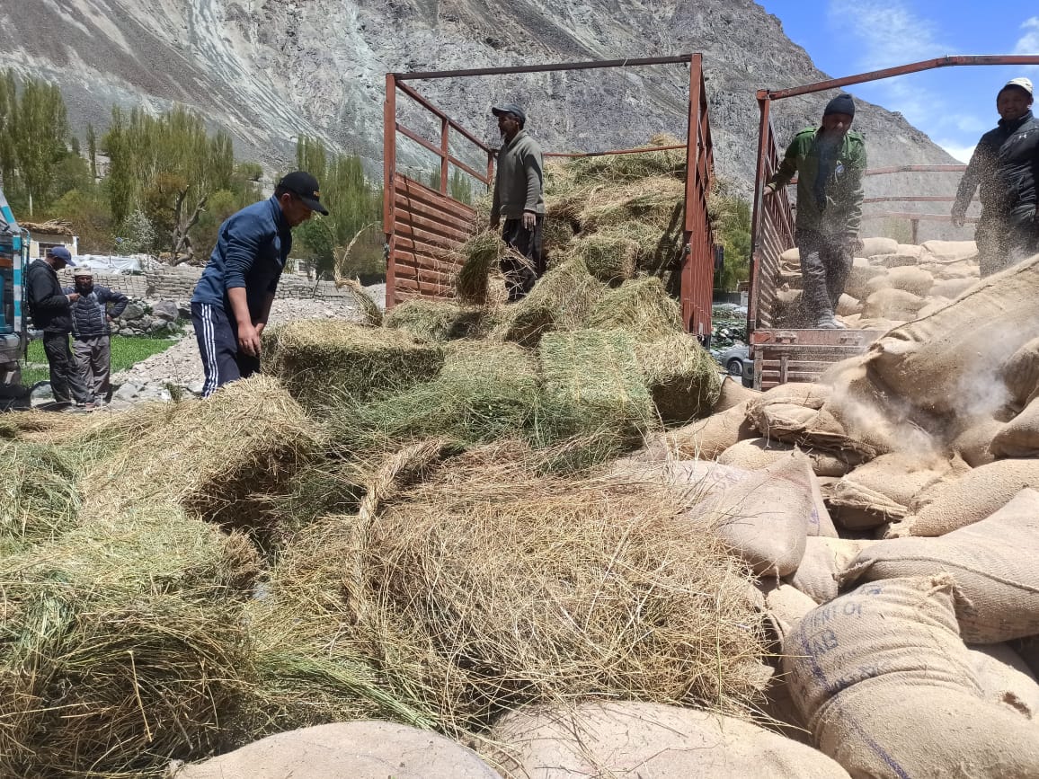 Animals died due to a lack of fodder in Bogdang Nala, Leh confirms officer