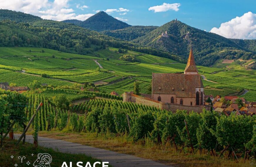 The Ultimate Guide to France’s Wine Regions based on your Zodiac!