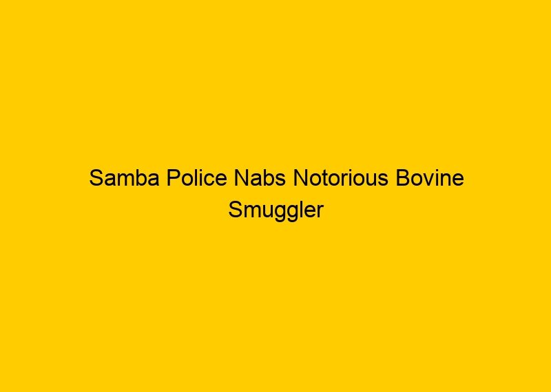 Samba Police nabs notorious Bovine Smuggler evading arrest in Ghagwal Case