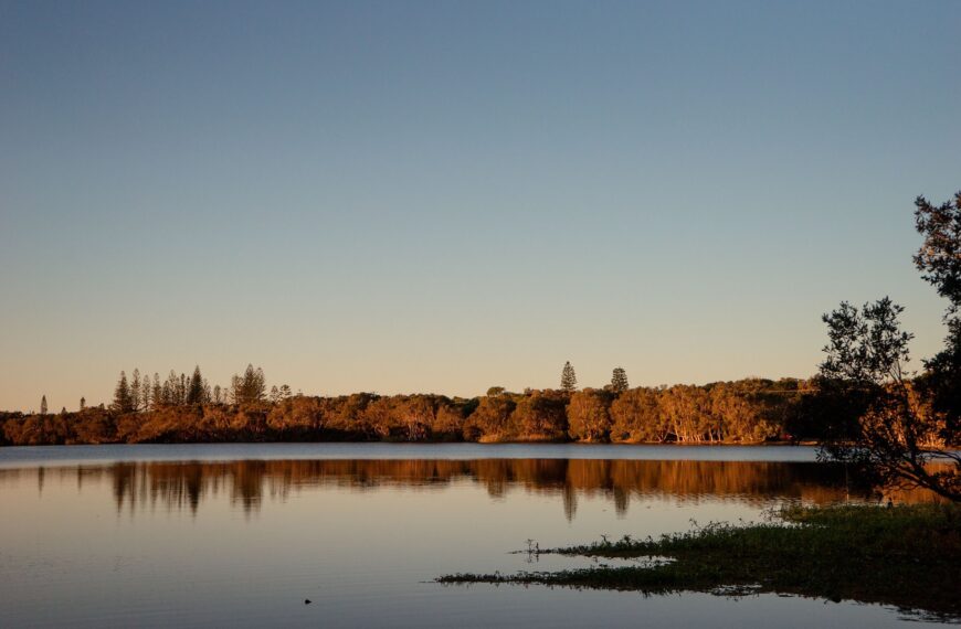 Check Out The Tea Tree Oil Lake in Australia