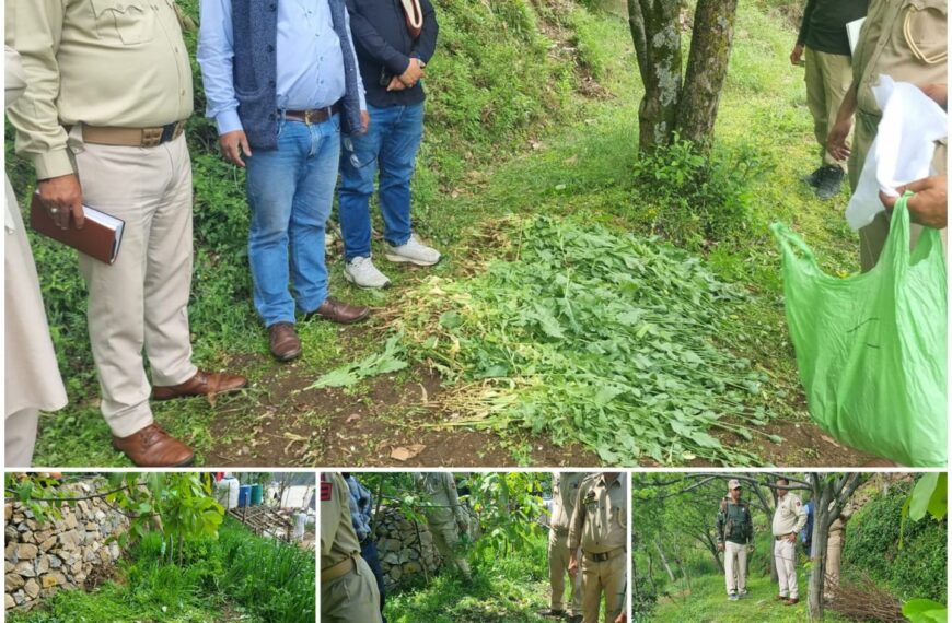 Doda police uproots poppy cultivation in Phagsoo area, FIR registered