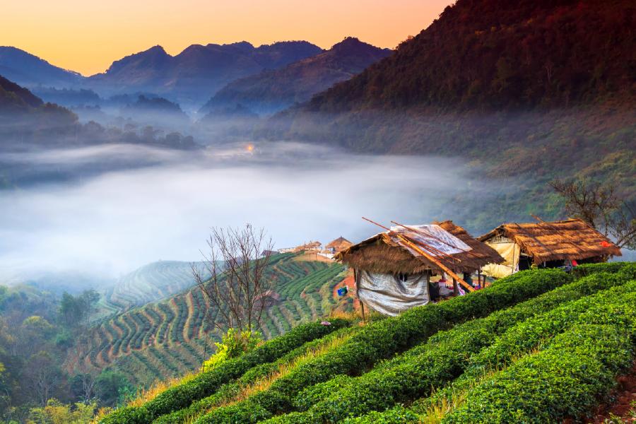 The image shows the tope place to travel and here it is Chiang Mai, Thailand. In the picture there is fog a hut and greenery a beautiful scene. 