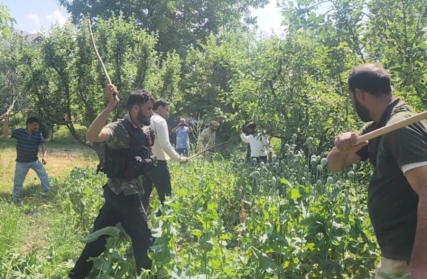 Police and civil administration launch drive against illegal poppy cultivation in Baramulla villages