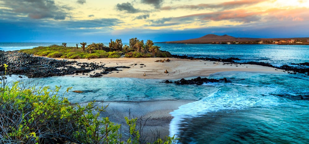 A photo of Galapagos island with several sea lions on a sandy beach, with the blue ocean and a small, rocky island in the background.