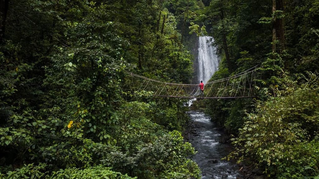 A person standing on a suspended rope In monteverde costa rica bridge over a rushing river with a powerful waterfall in the background. The lush green rainforest surrounds the bridge and waterfall.