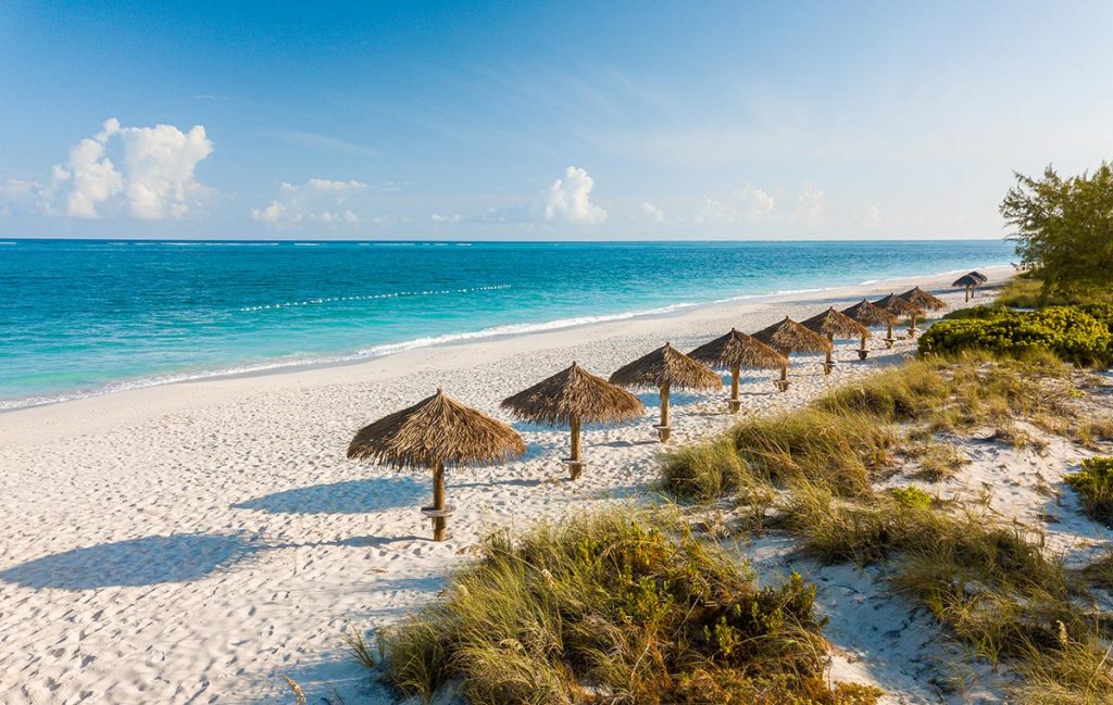 A row of straw umbrellas with thatched roofs sitting on a white sand beach. The sky is clear blue and there is a turquoise ocean in the background. The umbrellas are closed and some are tilted back.