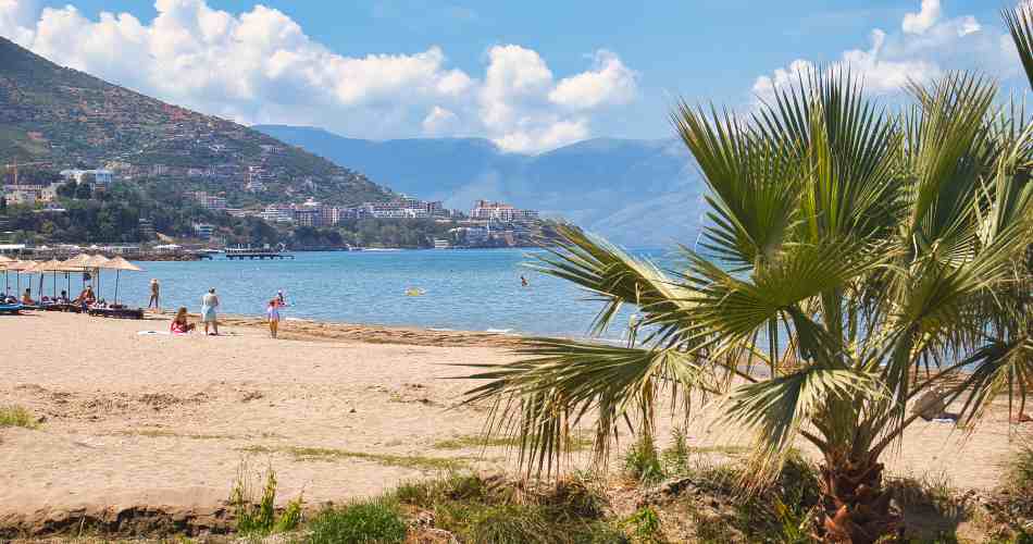 A group of people standing on a beach next to a body of water. There is a palm tree in the foreground. The location is likely Plazhi i Ri in Vlore, Albania.