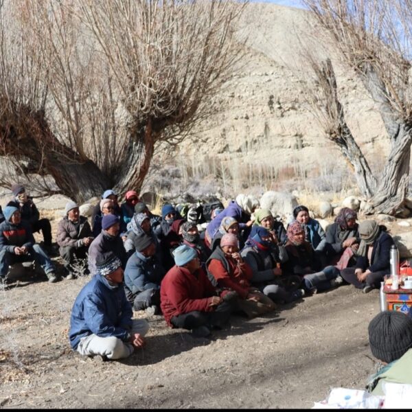 Nubra Sheep Husbandry Dept distributes subsidized feed, highlights livestock benefits