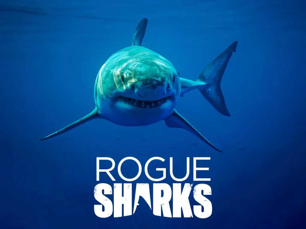 Sharks Movies On HBO - Rogue Sharks